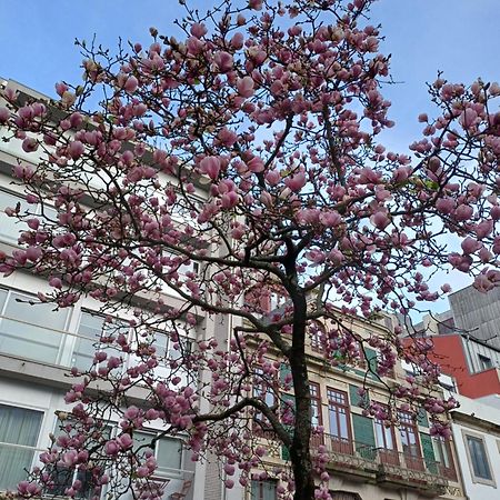 Otf- Porto Centro Leilighet Eksteriør bilde